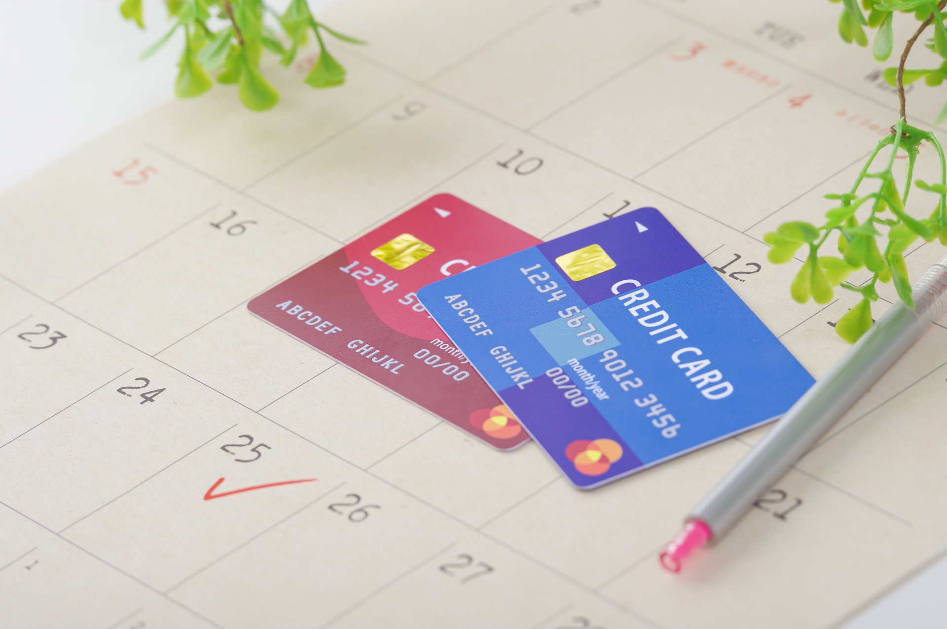 PayPayカードとイオンカードの違いとは？各カードの特徴・メリットを比較！　クレジットカードナビ