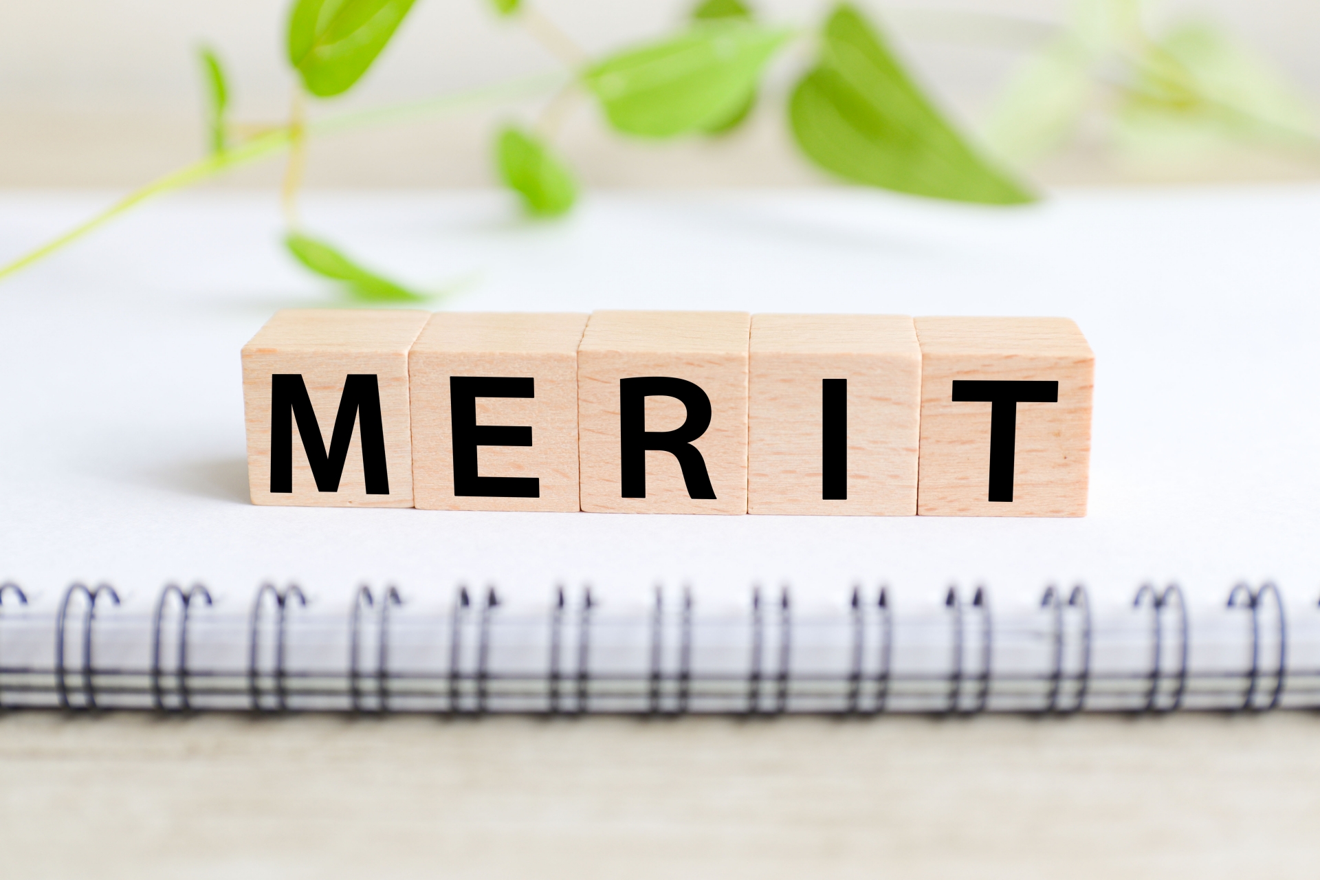 ライフカード2枚目発行のメリット　クレジットカードナビ